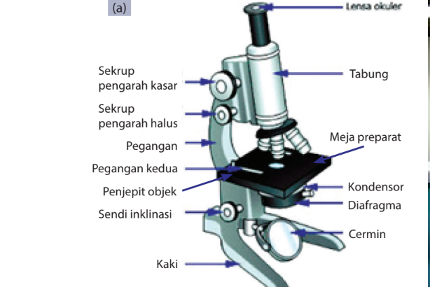 Bagian-Bagian Mikroskop dan Cara Menggunakannya