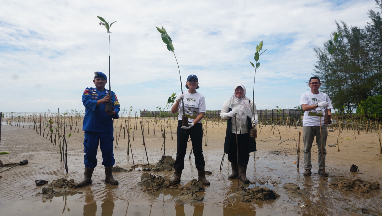 Kegiatan penanaman bibit mangrove di Kalimantan Timur