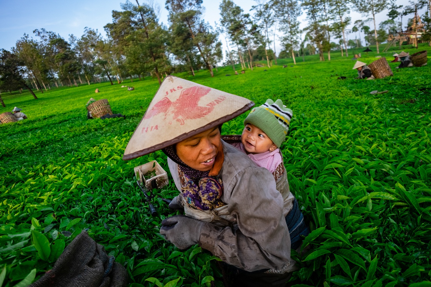15 Ribu Pelaku UMKM Perempuan dapat Edukasi Kesehatan Keluarga