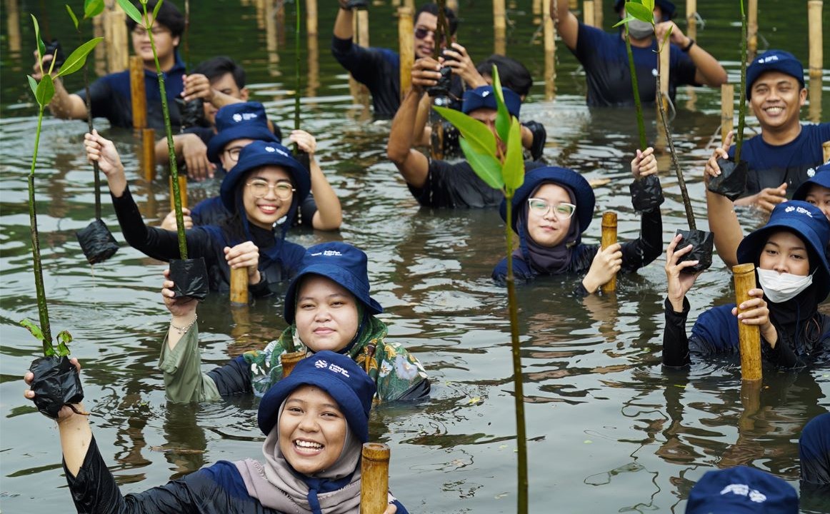 Rayakan Hari Mangrove Sedunia, AIS Forum Gelar Penanaman di Dua Negara