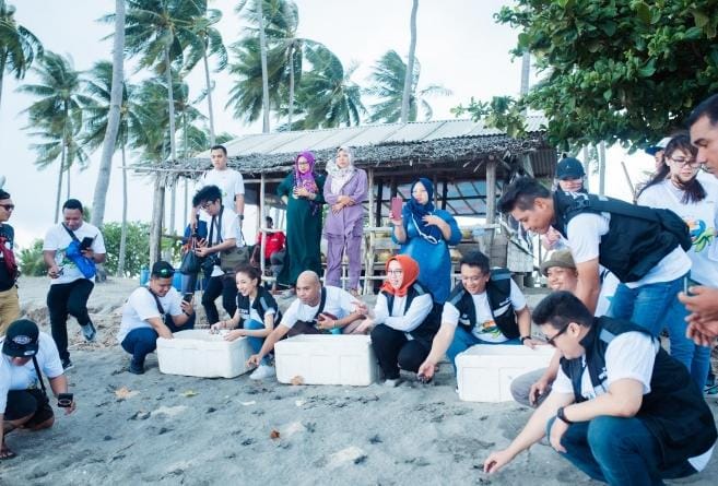 Pelepasan ratusan tukik di Pulau Anak Karas.