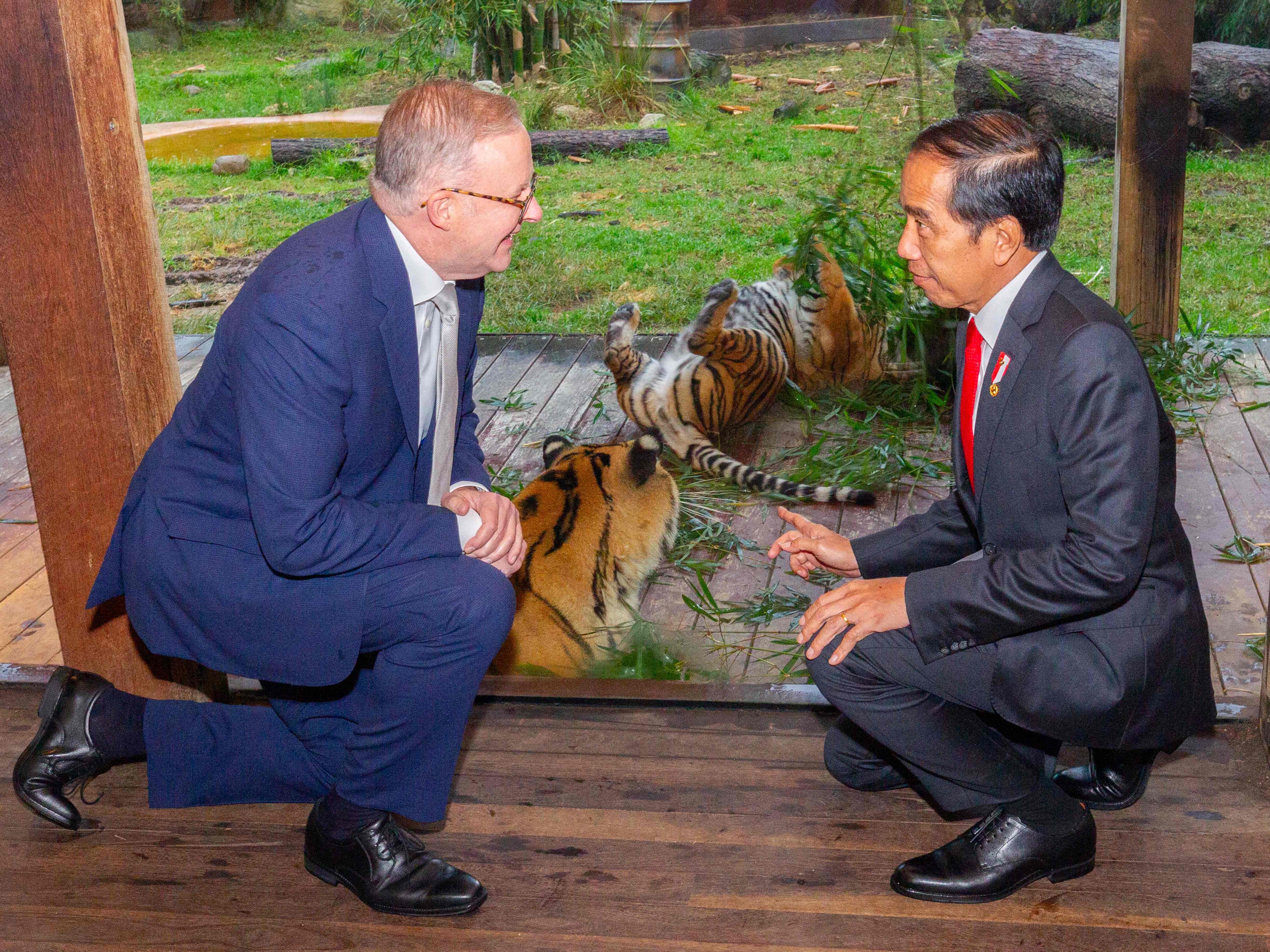 Indonesia-Australia Sepakat Kerja Sama Bikin Baterai Kendaraan Listrik