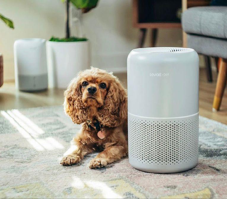  Aroma tak sedap dari kotoran dan bulu hewan yang rontok sering kali merepotkan.