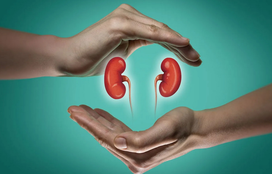Ilustrasi penyakit gagal ginjal.