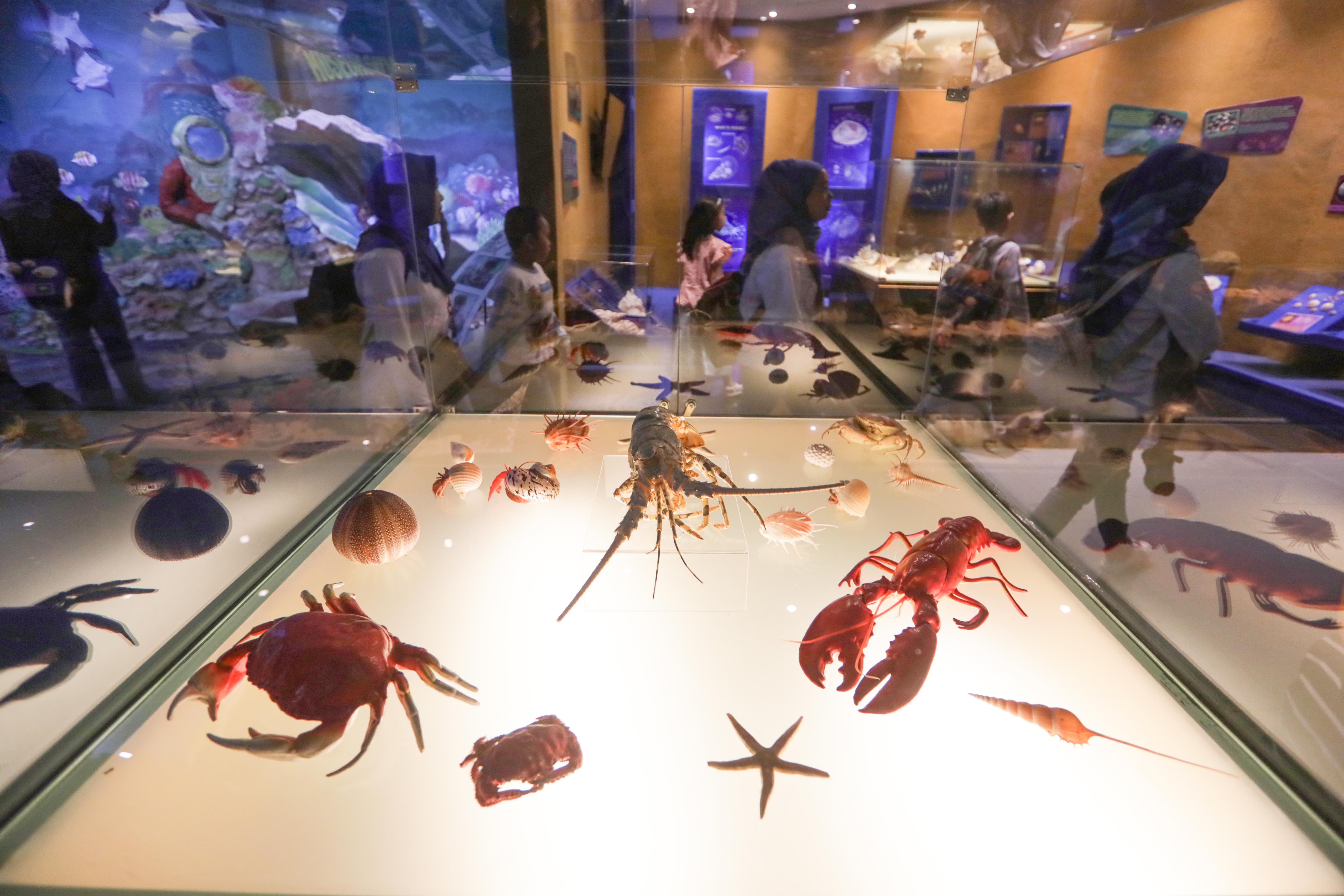 Anak-anak melihat koleksi hewan yang ada di museum satwa saat wisata edukasi di Jatim Park 2, Batu, Malang, Jawa Timur.