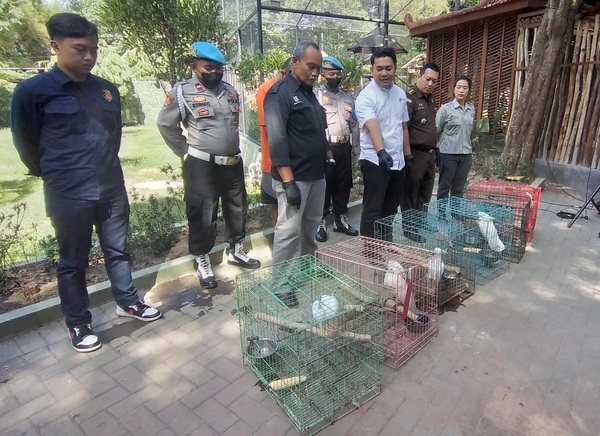 Aparat menunjukkan deretan satwa dilindungi yang diperdagangkan secara liar.