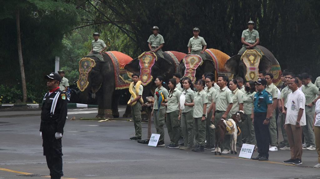 Sejumlah satwa dilibatkan pada upacara bendera peringatan HUT ke-78 Kemerdekaan RI di Bali Safari & Marine Park, Kamis (17/8).