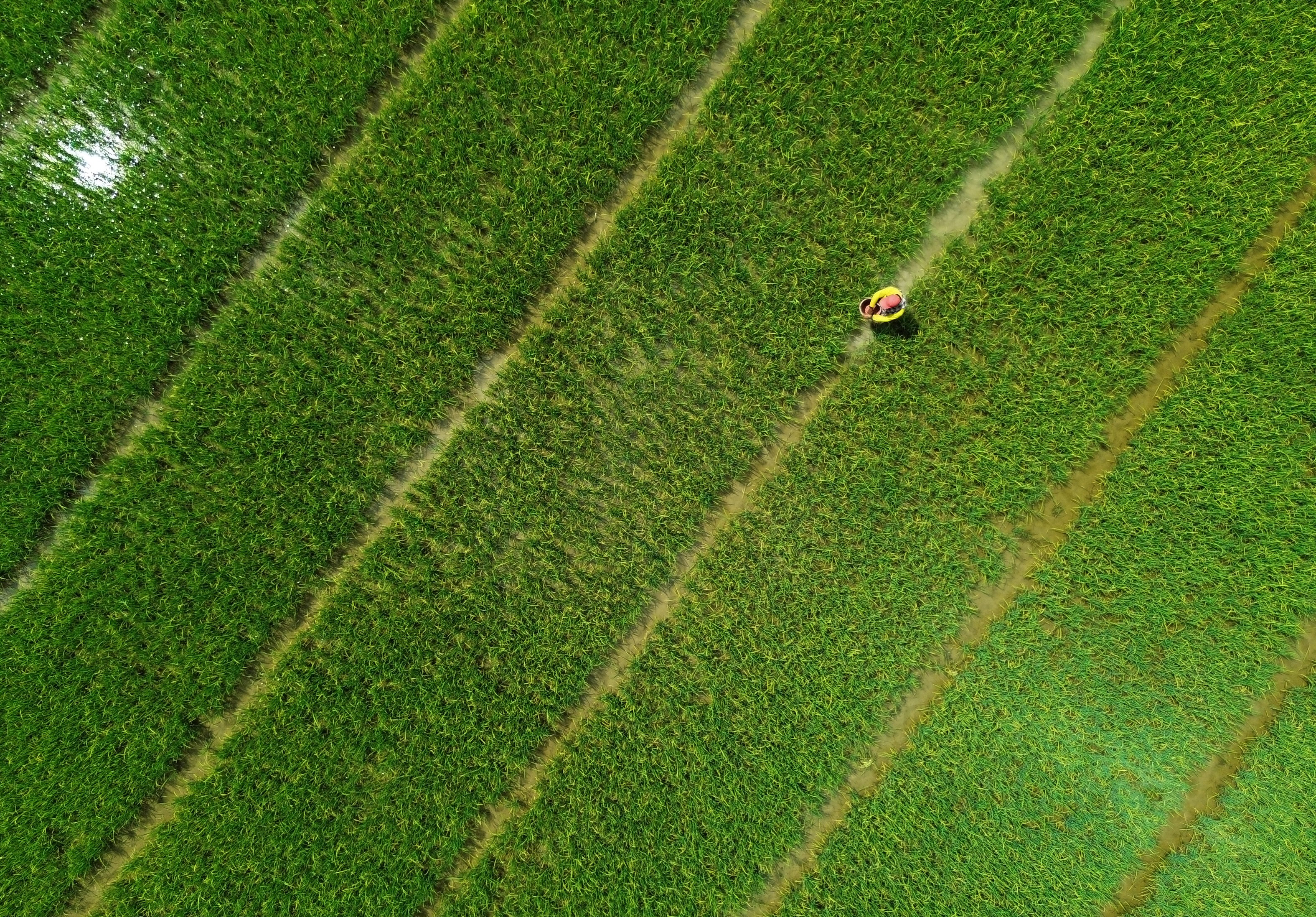 Pemprov Sultra Mulai Antisipasi El Nino dan Kekeringan