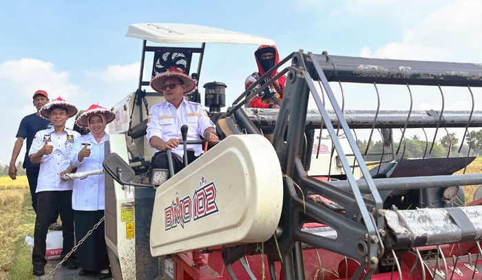  Teknologi CSA Genjot Produktivitas Gabah Lebih Banyak 