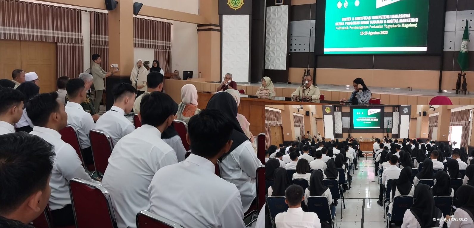 Mahasiswa Polbangtan Yogyakarta Magelang mengikuti bimbingan teknis dan sertifikasi kompetensi.