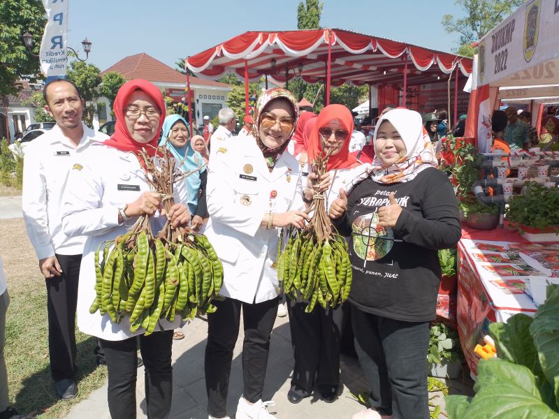 Pameran pembangunan pertanian dan pasar tani Kabupaten Klaten adalah untuk mempromosikan hasil produksi sektor pertanian agar dikenal masyar