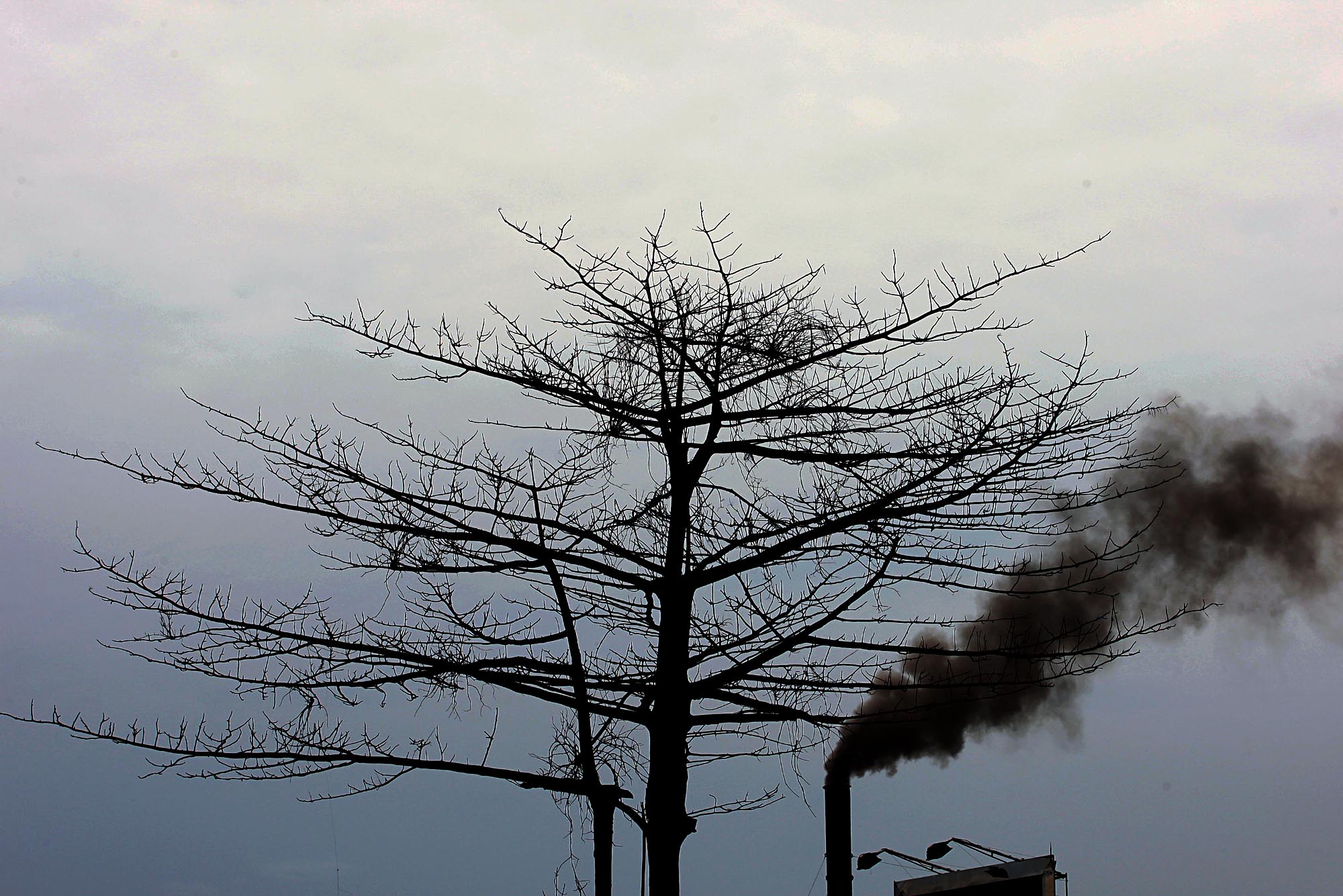 Kemenperin Terbitkan SE Pengendalian Emisi Gas Buang Sektor Industri