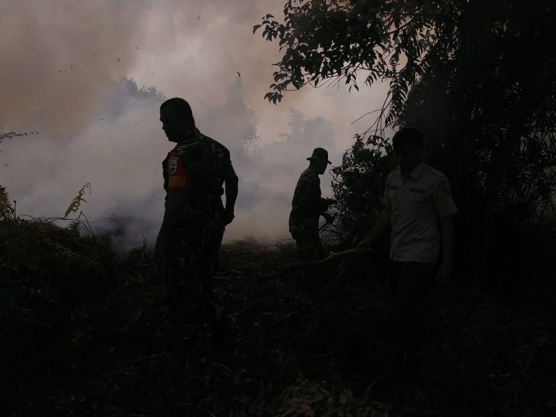 Awas Bencana, Karhutla Menelan 82,2 Hektare di Jawa Tengah