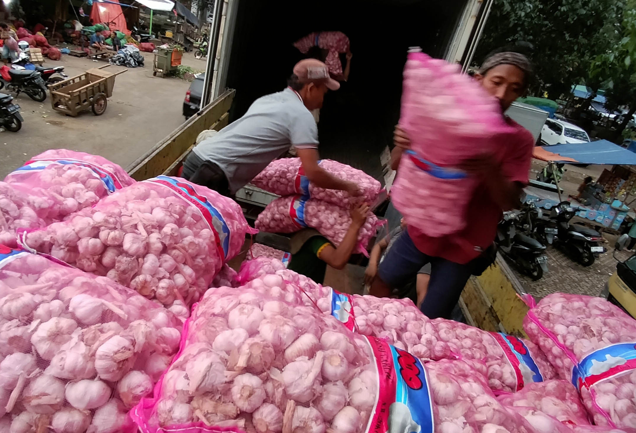 Harga Bawang Putih di Palu Masih Terpantau Tinggi