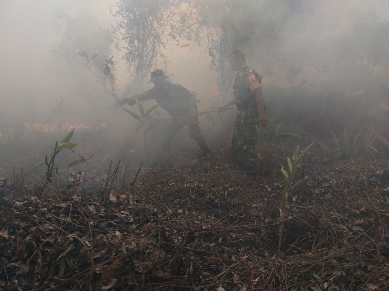 Luas Karhutla Riau Tembus 2.120,98 Hektare