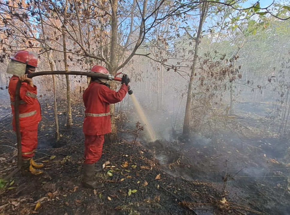 Tim Manggala Agni melakukan pemadaman di Desa Deling, Kecamatan Pangkalan Lampam, OKI, Sumsel, Rabu (23/8).