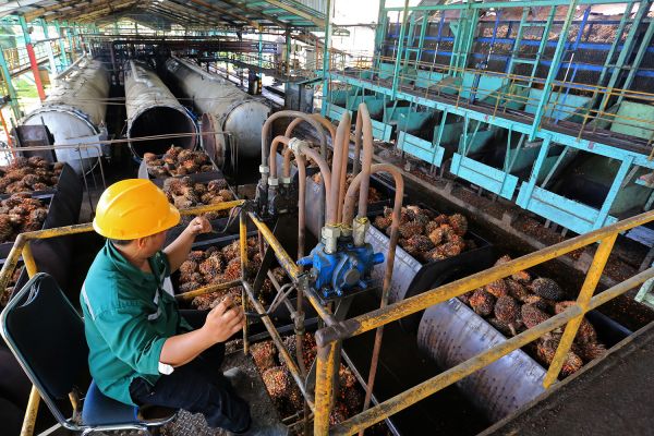 Pabrik minyak kelapa sawit di Desa Padang Sikabu, Kaway XVI, Aceh Barat, Aceh. 