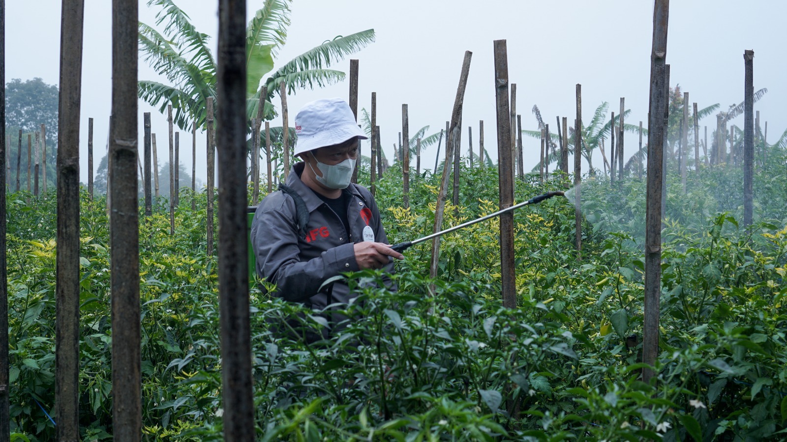 IFG mendukung perekonomian masyarakat khususnya UMKM bidang pertanian di Desa Sumberejo, Magelang, Jateng.