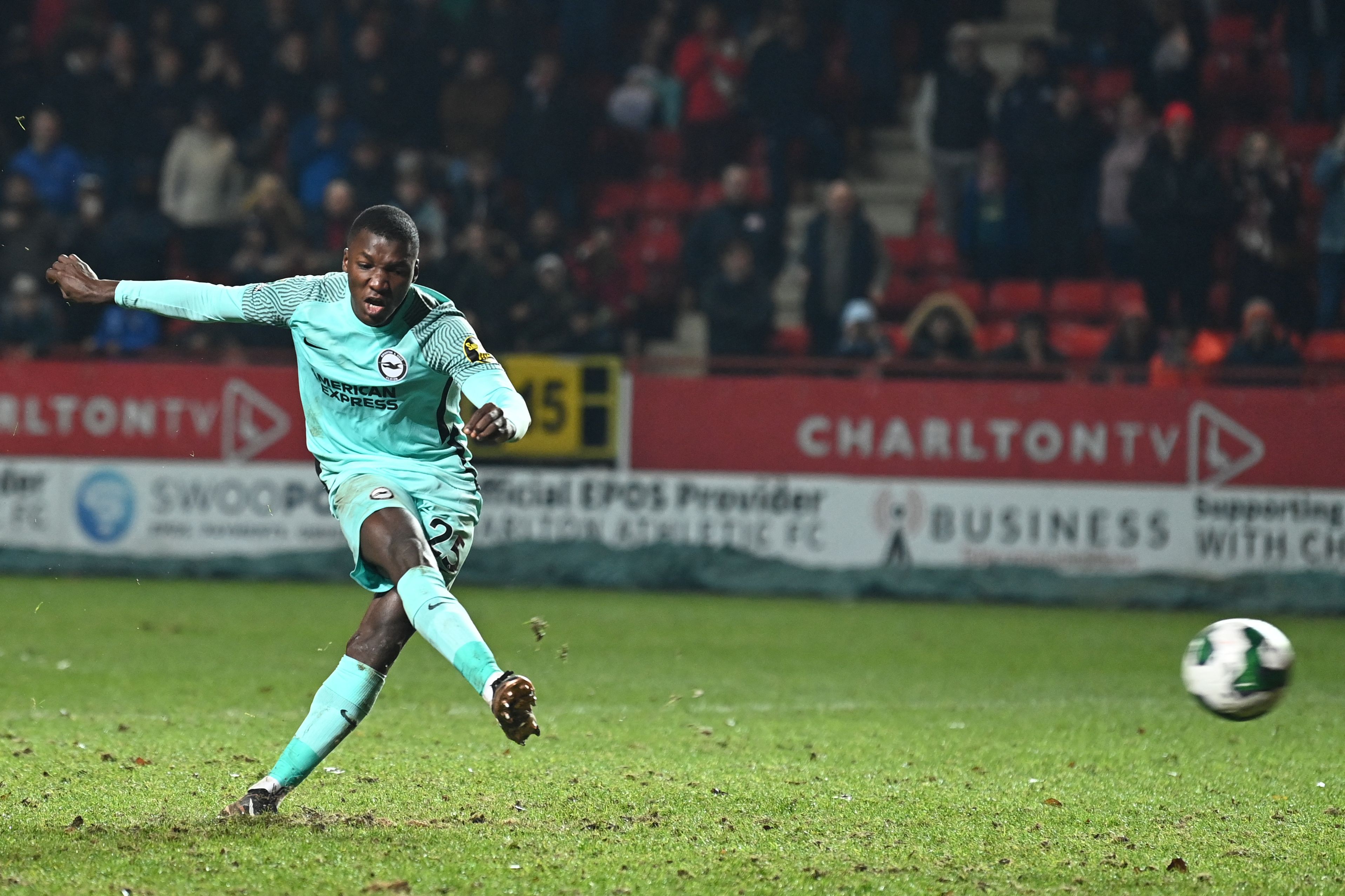 Gelandang Brighton and Hove Albion Moises Caicedo