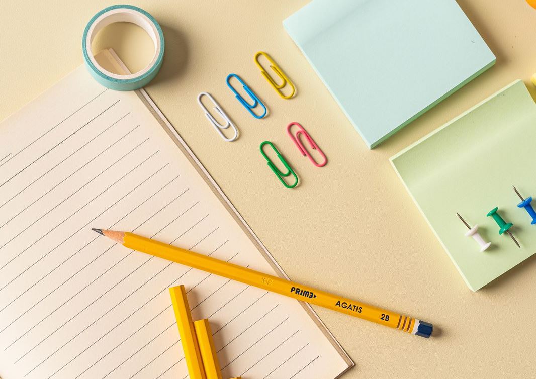 Pensil kuning Agatis