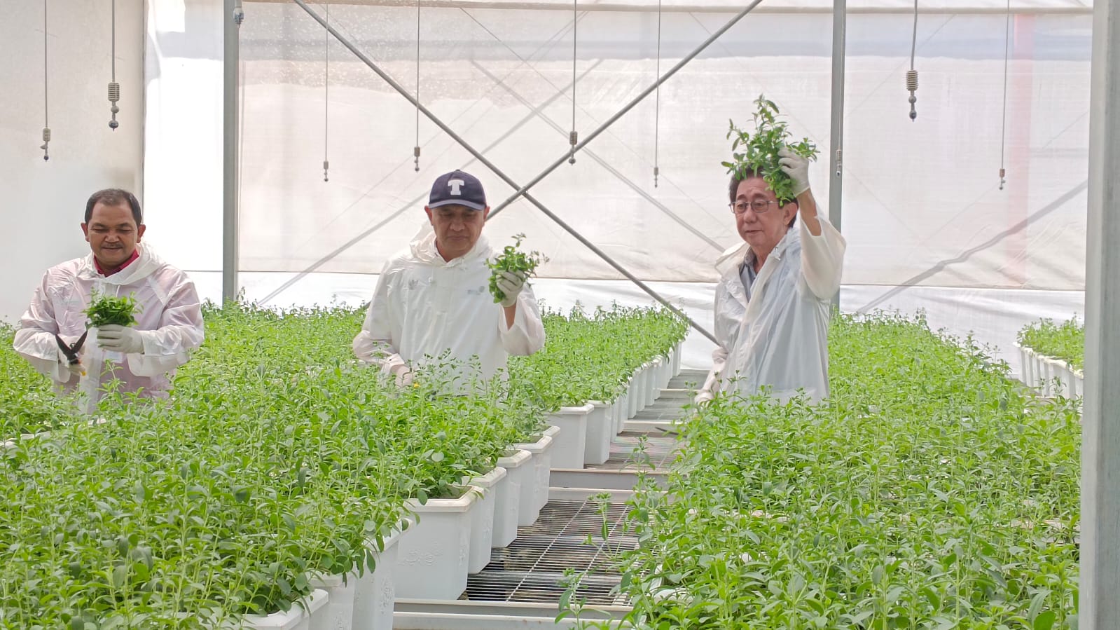 Kemenkop-UKM Gandeng Sido Muncul Dukung Petani Herbal dan UMKM 