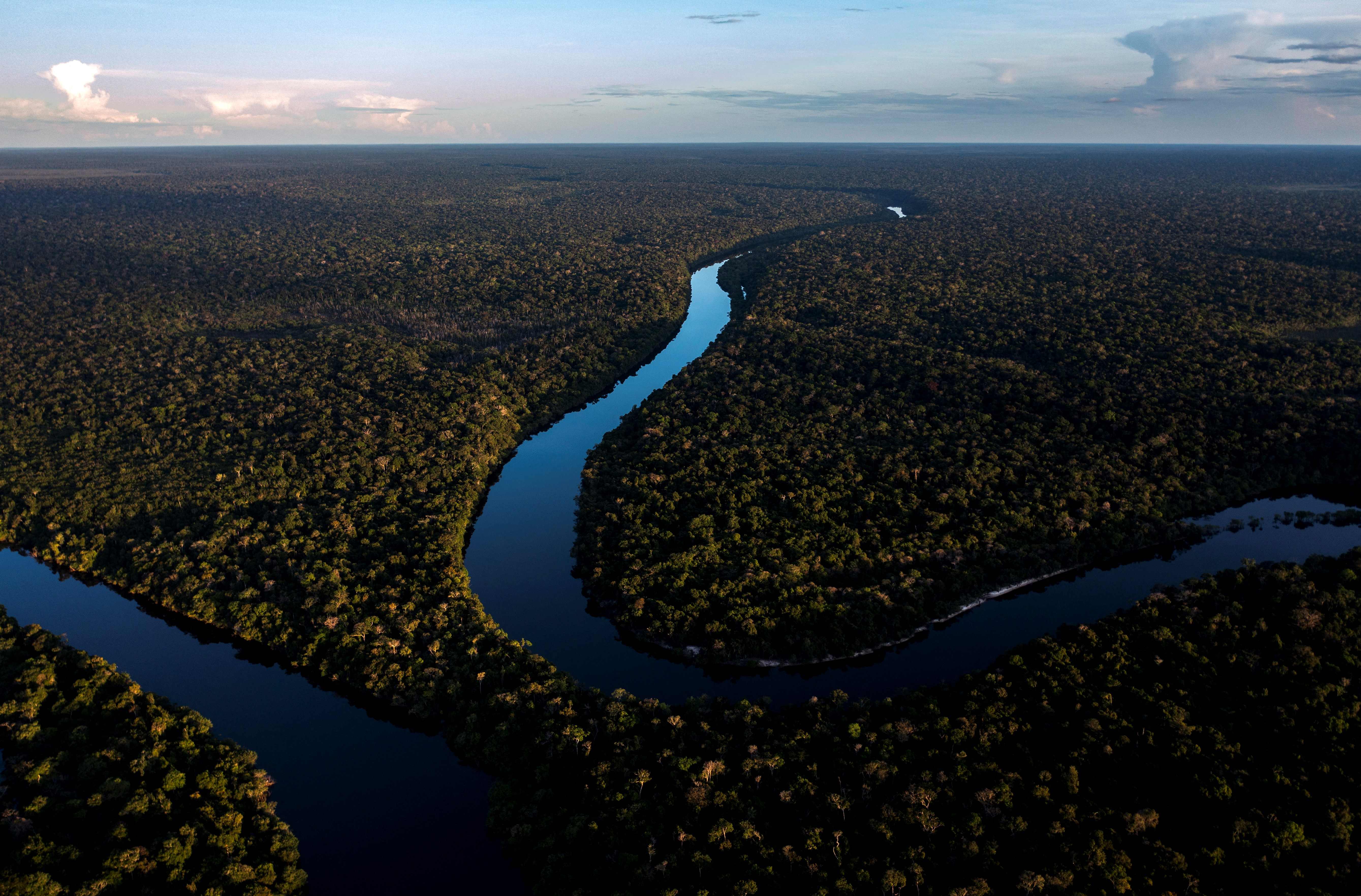 Hutan Amazon.