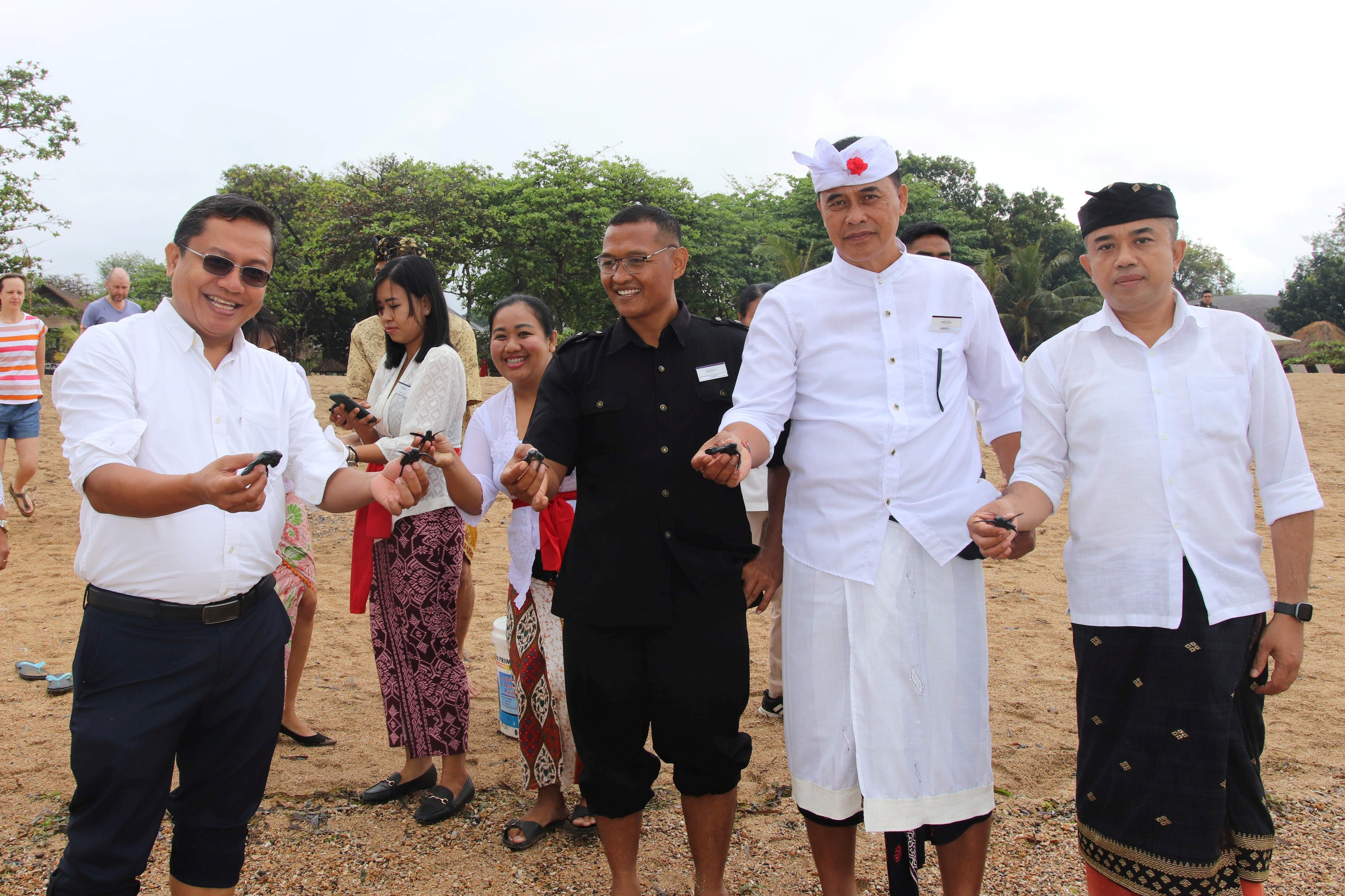 Mercure Bali Sanur Resort menggelar acara dengan melepas puluhan tukik atau anak-anak penyu ke lautan lepas.