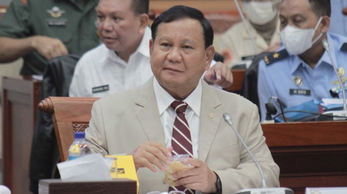 Konsistensi Elektabilitas Prabowo Jadi Daya Tarik Partai Pengusung