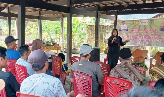 CSA Kementan Bimbing Petani Pinrang Bikin Pestisida Nabati dari Bawang