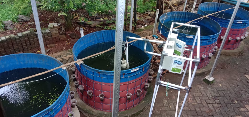 Dosen Universitas Trilogi menerapkan teknologi Ai di sektor pertanian