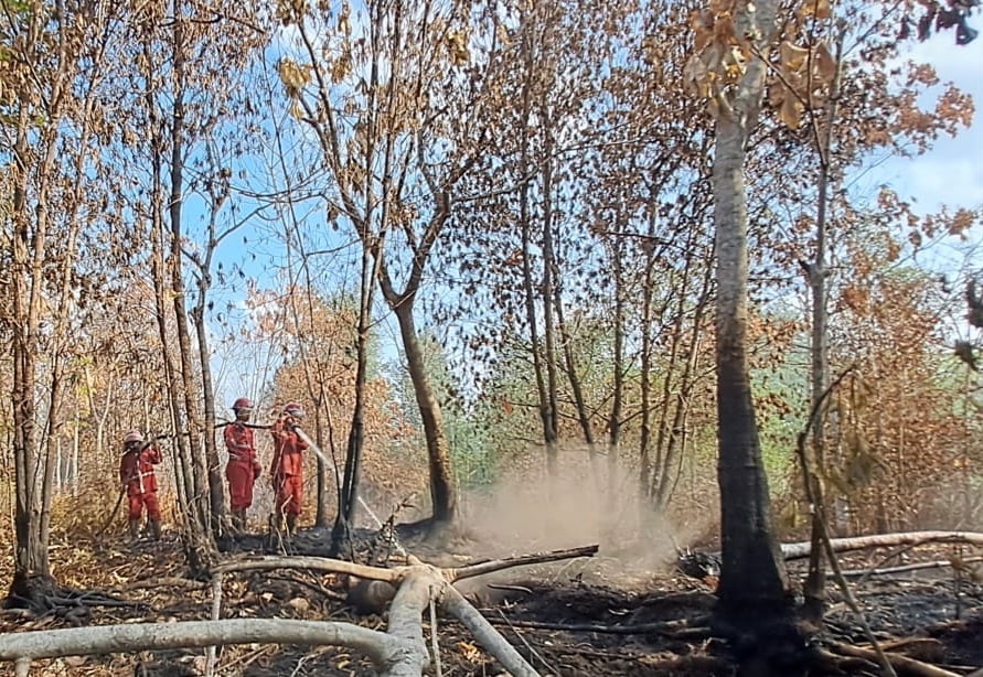 Kebakatan hutan dan lahan di Sumatera yang semakin parah akibat dampak el nino.