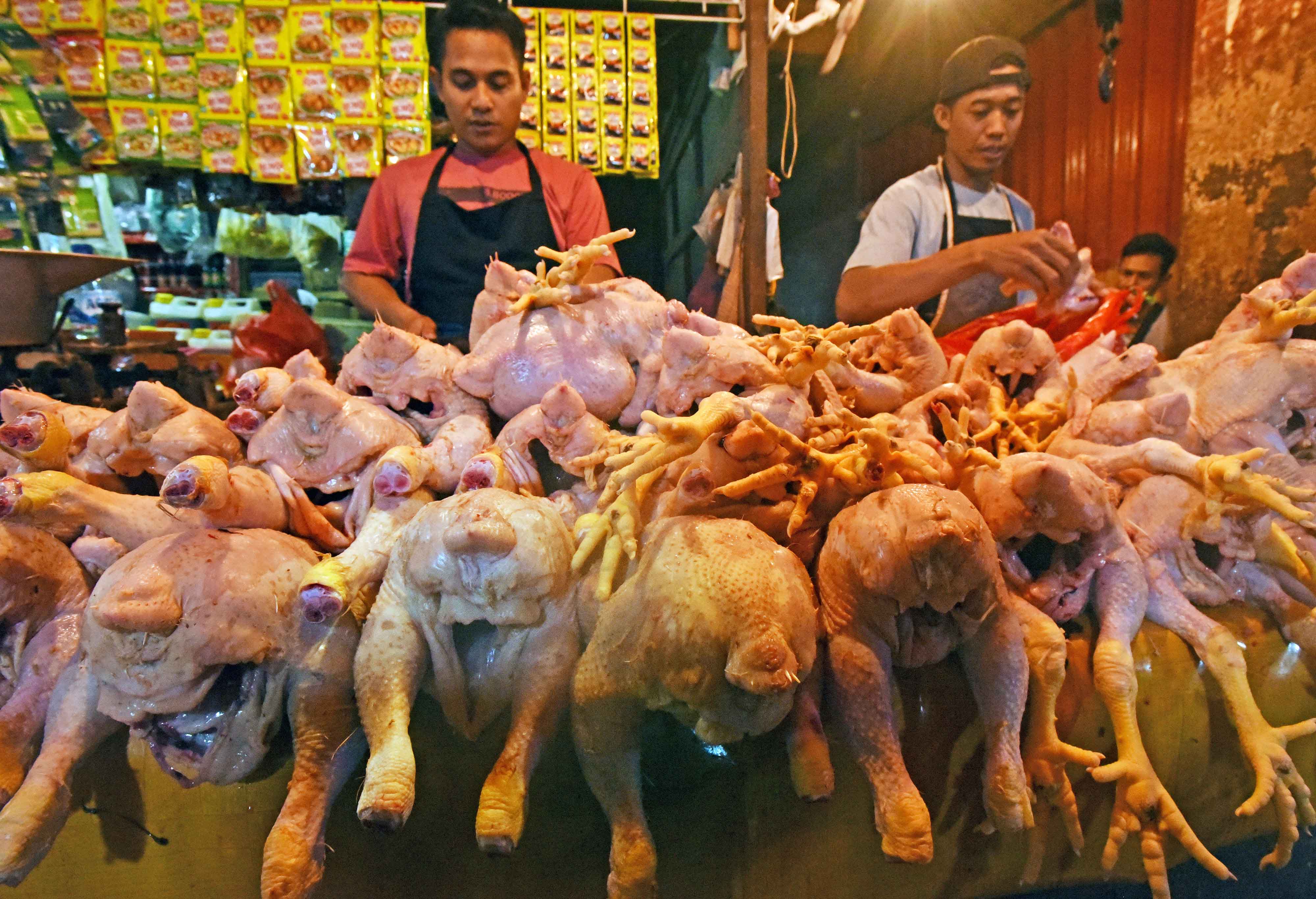 Pedagang memotong daging ayam 