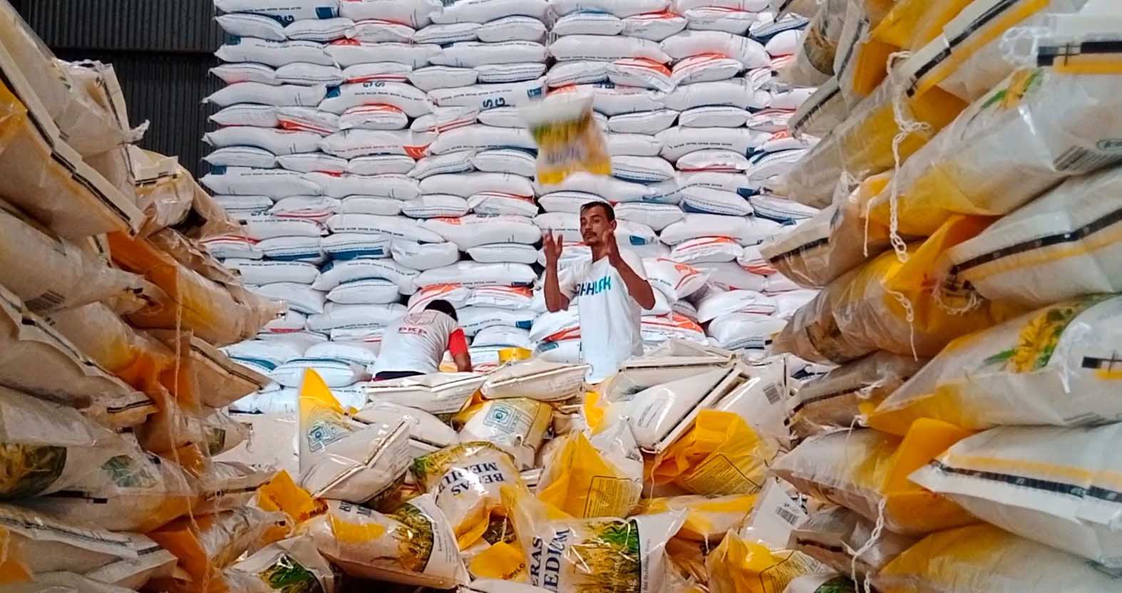 Kementan Jaga Stok Beras 1,2 juta ton Sampai November 2023  