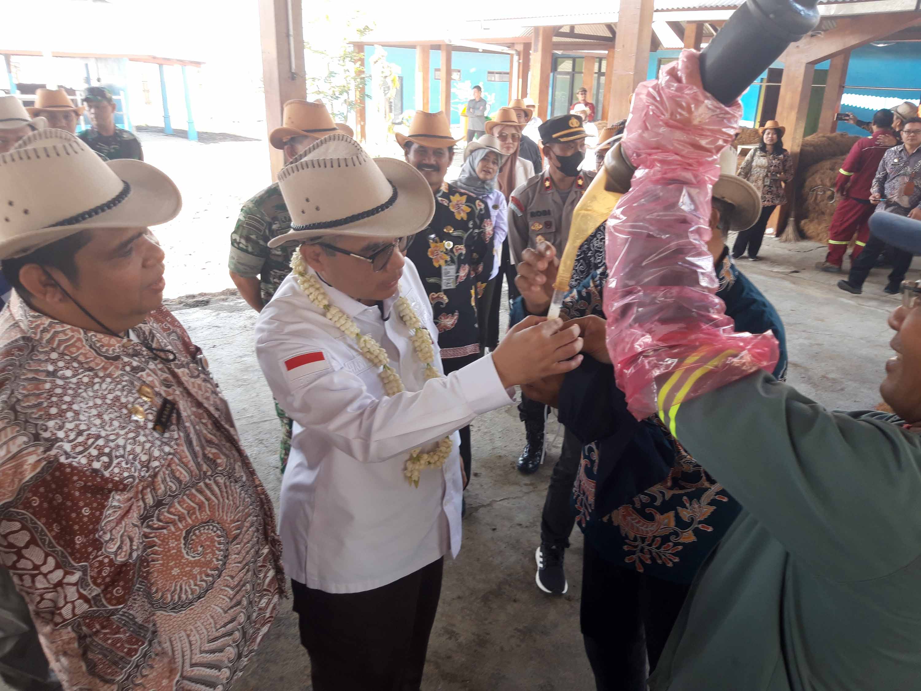 Wakil Menteri Pertanian Harvick Hasnul Qolbi (baju putih) meninjau proses produksi semen beku sapi unggul kualitas ekspor.