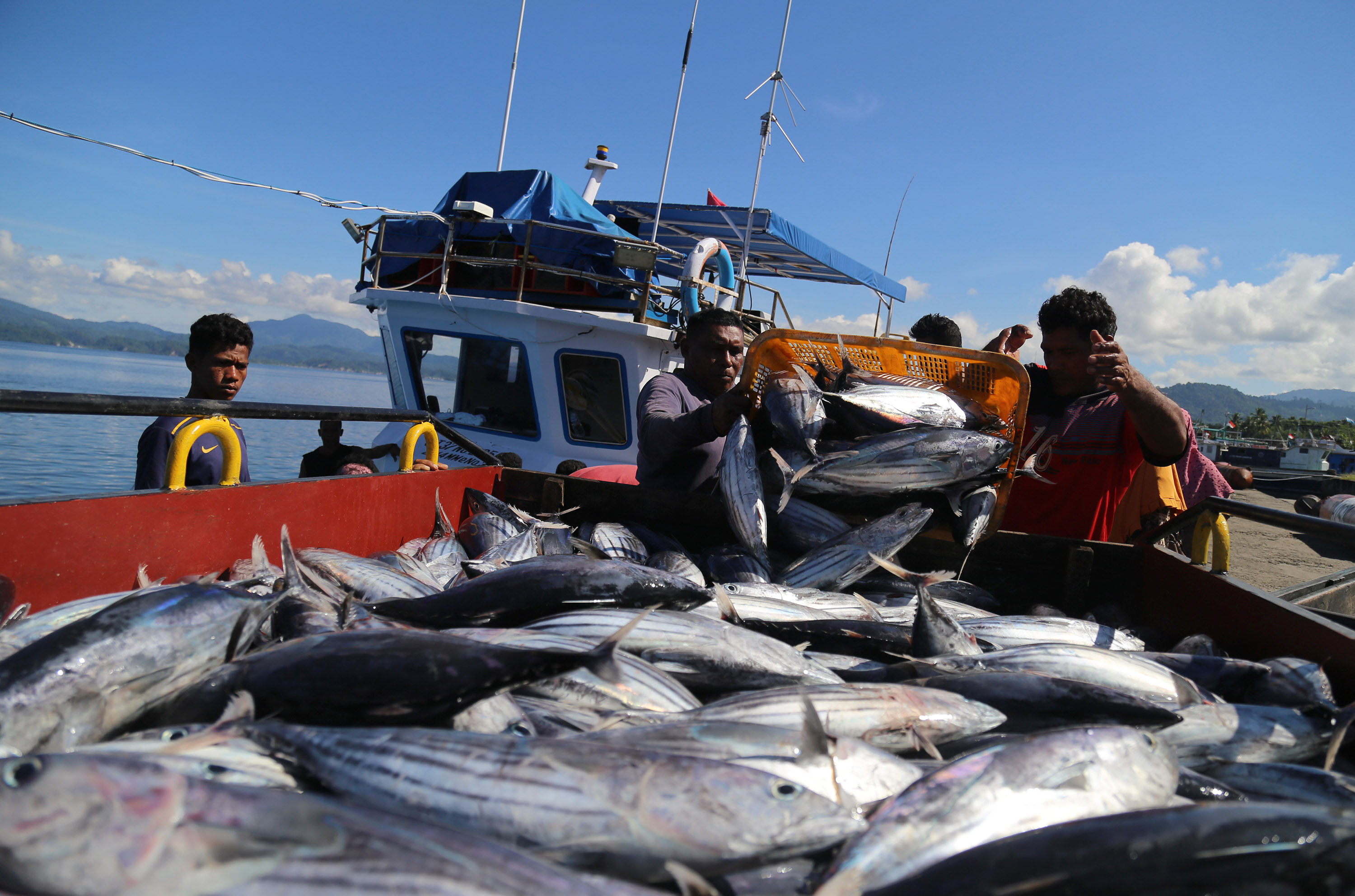 Sektor Perikanan Perlu Didorong Menuju Ekonomi Hijau