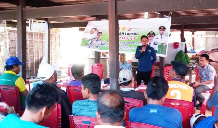 Tangkal El Nino, Petani CSA Pinrang Pilih Budidaya Padi Ramah Lingkungan