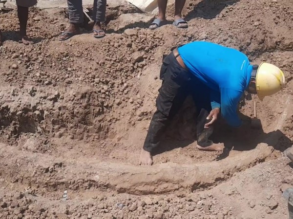 Arkeolog dari Balai Pelestarian Situs Manusia Purba (BPSMP) Sangiran sedang meneliti gading purba yang ditemukan oleh warga Ngebung.