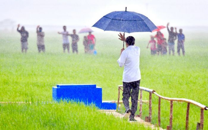 Presiden Joko Widodo pada Selasa (23/2/2021) meninjau lokasi food estate yang terletak di Bukit Ngora Lenang, NTT 