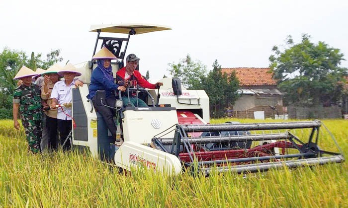 Teknologi CSA mendukung peningkatan produktivitas padi di Karawang, Jawa Barat.