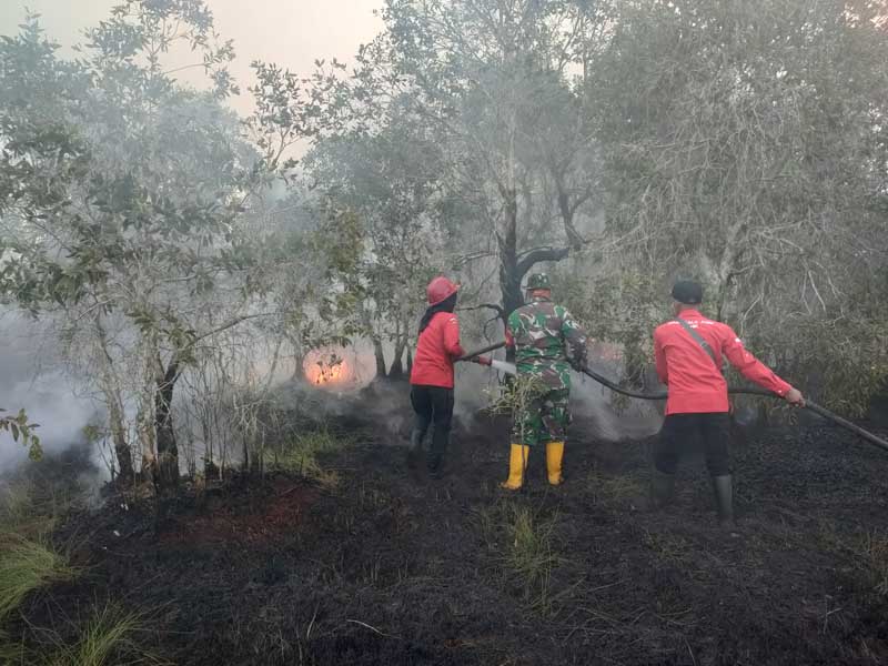 Personil Manggala Agni Daops Sum-XIV/Banyuasin dibantu TNI dan Polri berupaya memadamkan kebakaran lahan di Desa Tanjung Seteko.