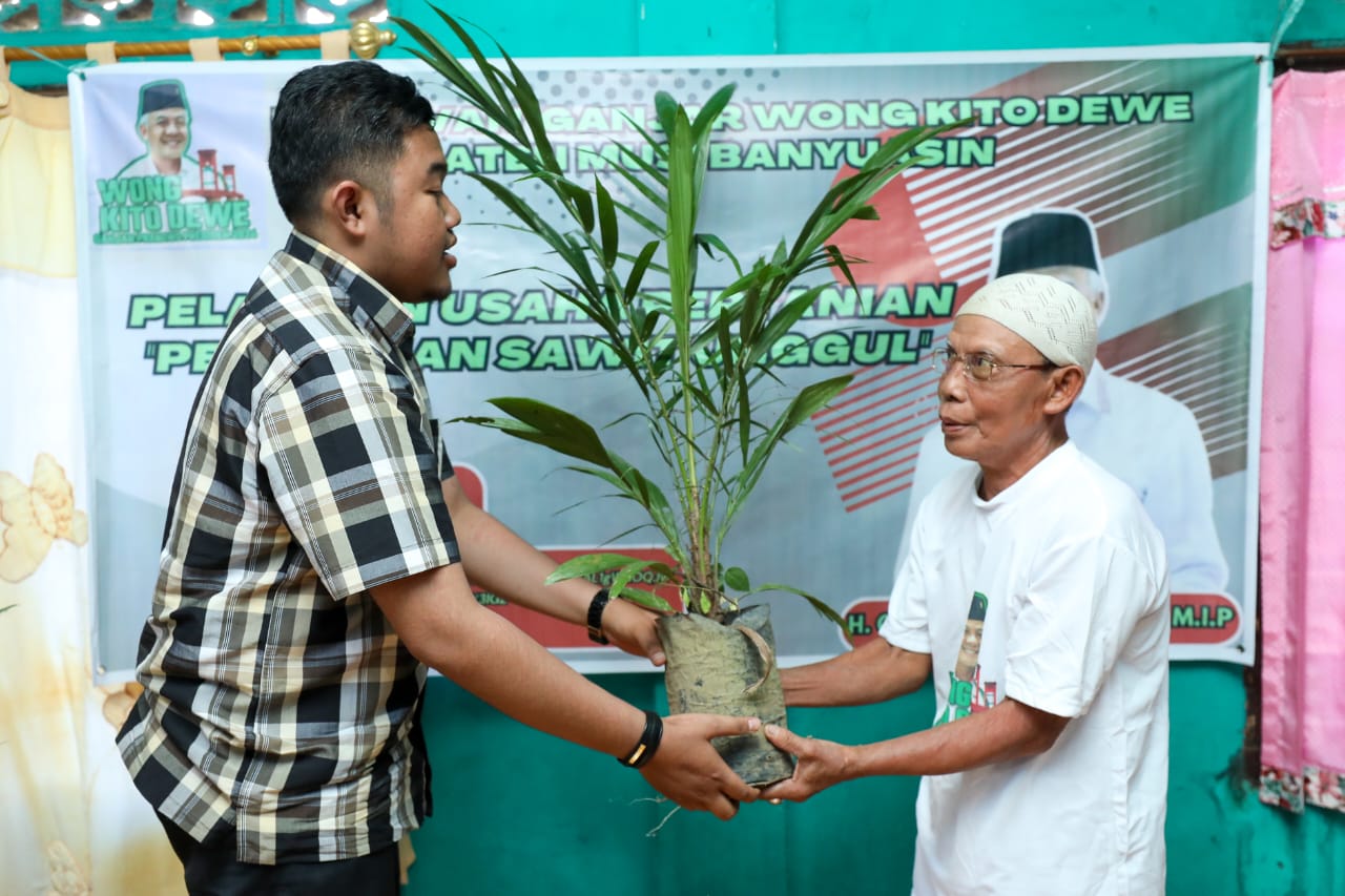 Pelatihan pembibitan sawit di Musi Banyuasin, Sumsel