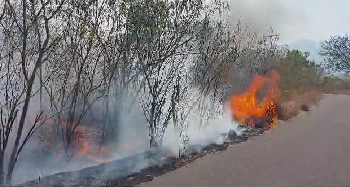Karhutla Meluas, Warga Flotim Diminta Jangan Buka Kebun dengan Bakar