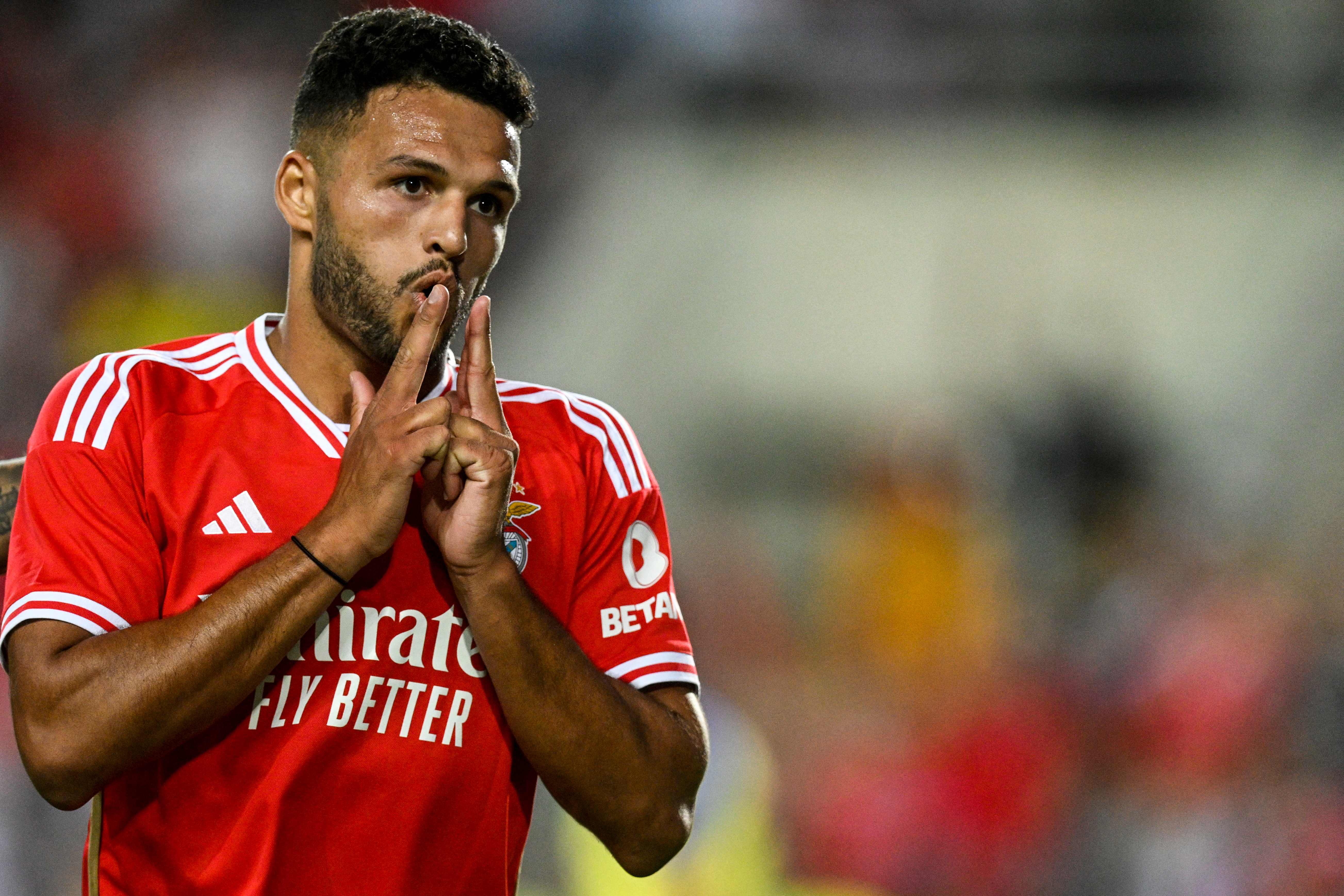 Striker Benfica Goncalo Ramos