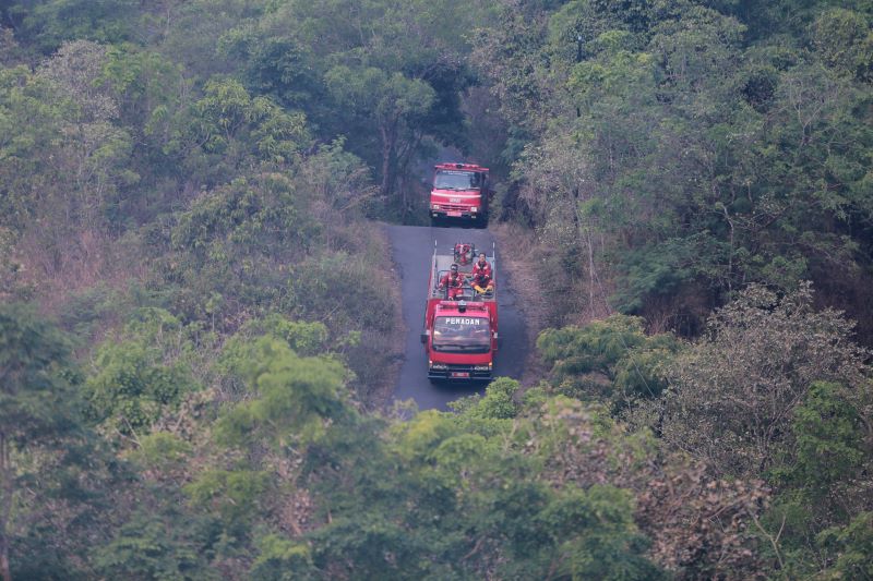 Petugas pemadam kebakaran bergerkak menuju lokasi kebakaran di Gunung Ciremai.