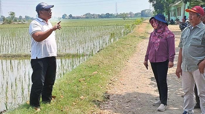 Kementan Kawal Sekolah Lapang CSA di Subang, Jabar, Terapkan Genta Organik