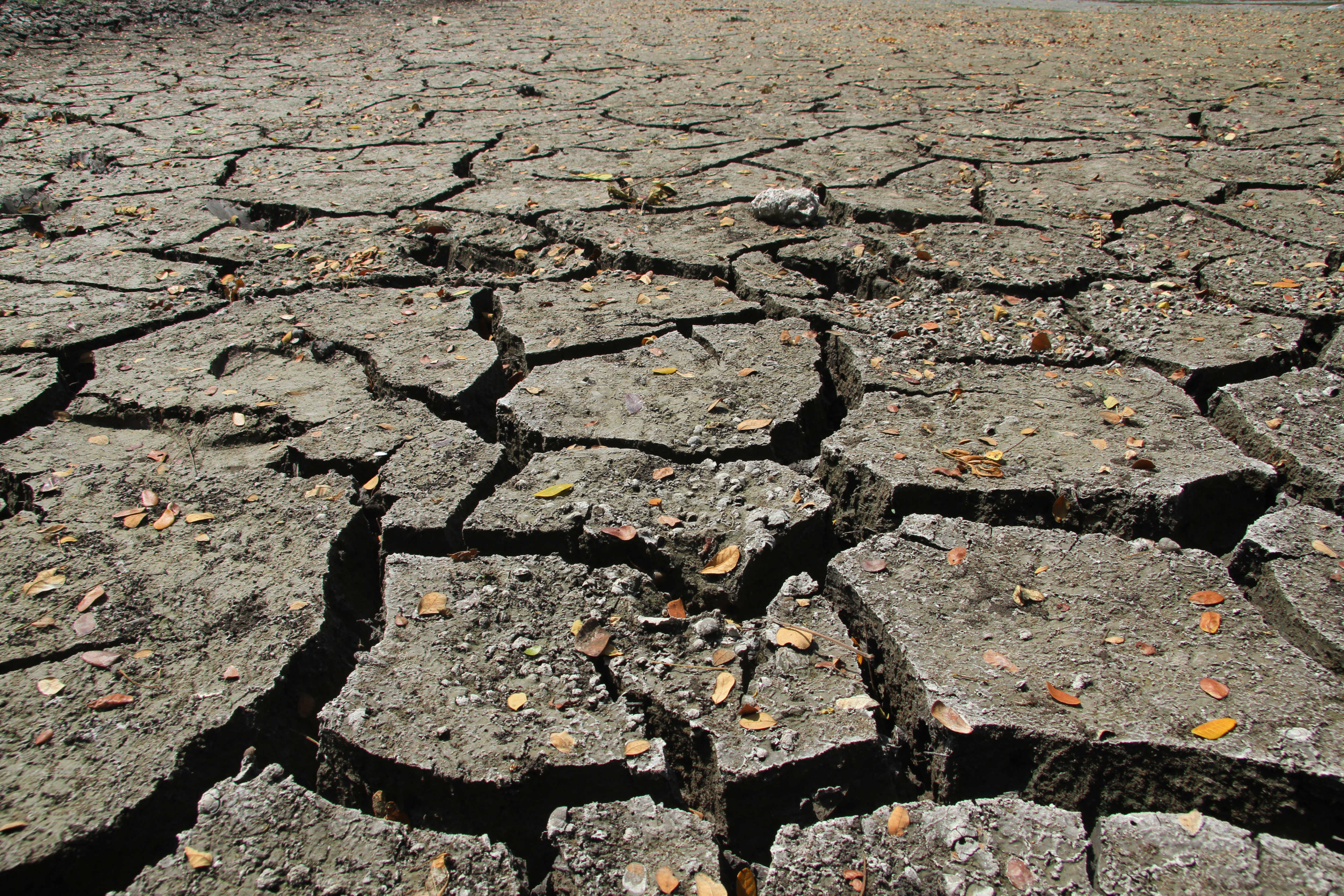 Bencana Kekeringan Dominan Terjadi di Jawa Barat