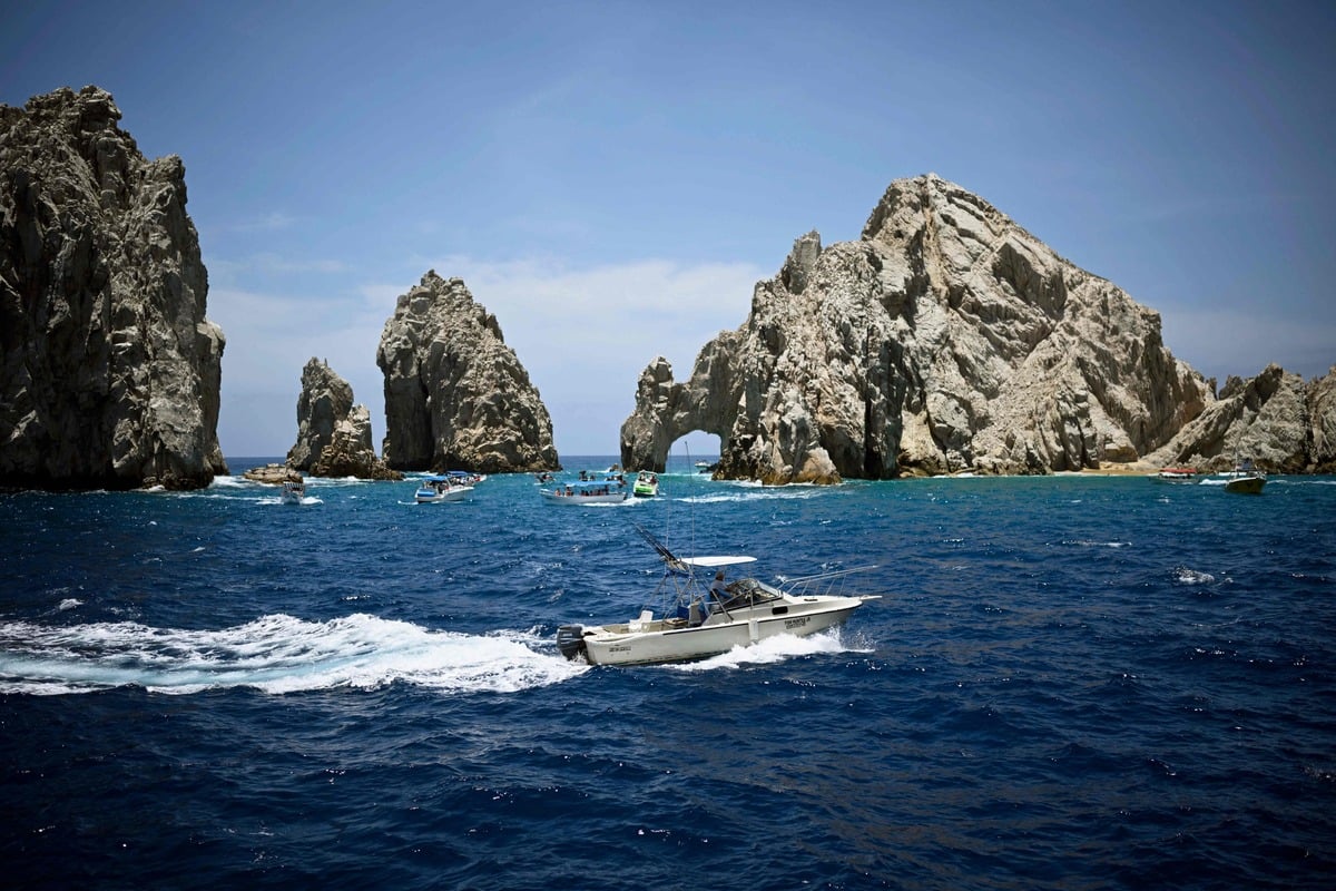 Ilustrasi ekosistem laut, ekosistem terbesar yang ada di bumi.