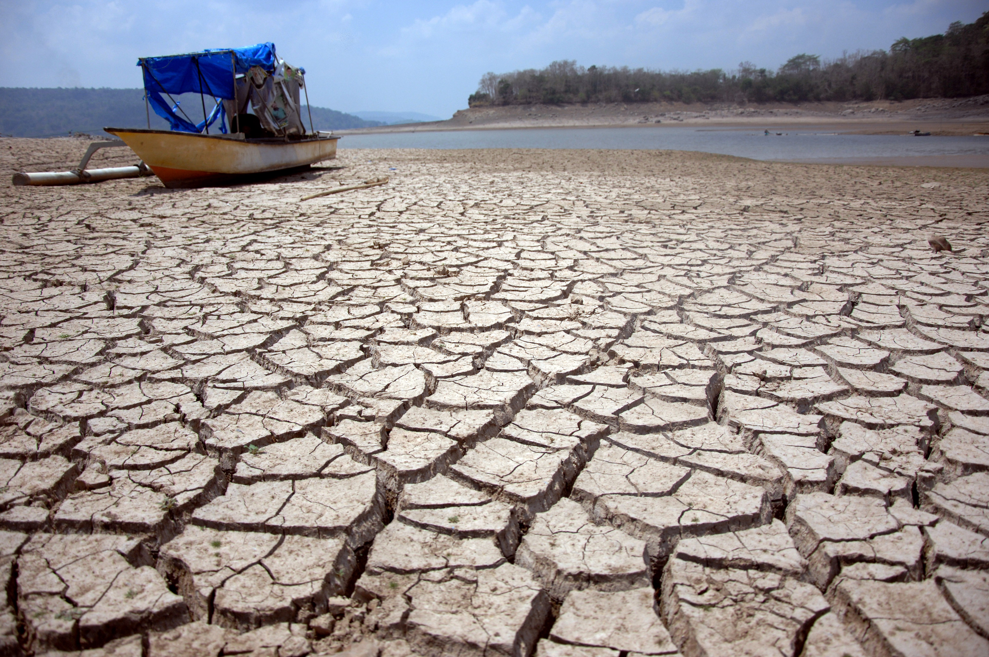 Kawasan Pesisir Kalsel Mulai Kekeringan