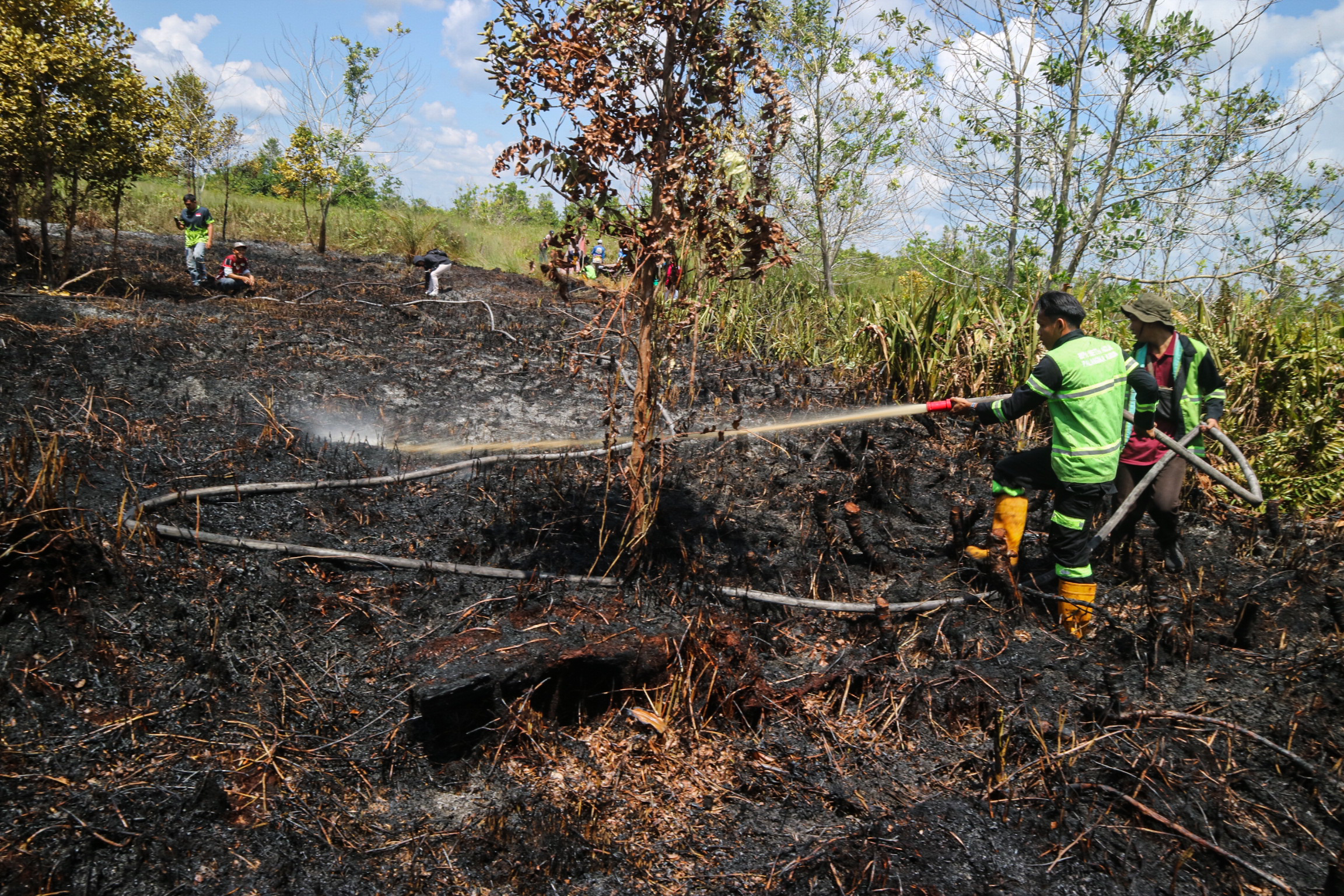 Ilustrasi. Relawan pemadam kebakaran melakukan pembasahan lahan gambut yang terbakar di Kalimantan Tengah.