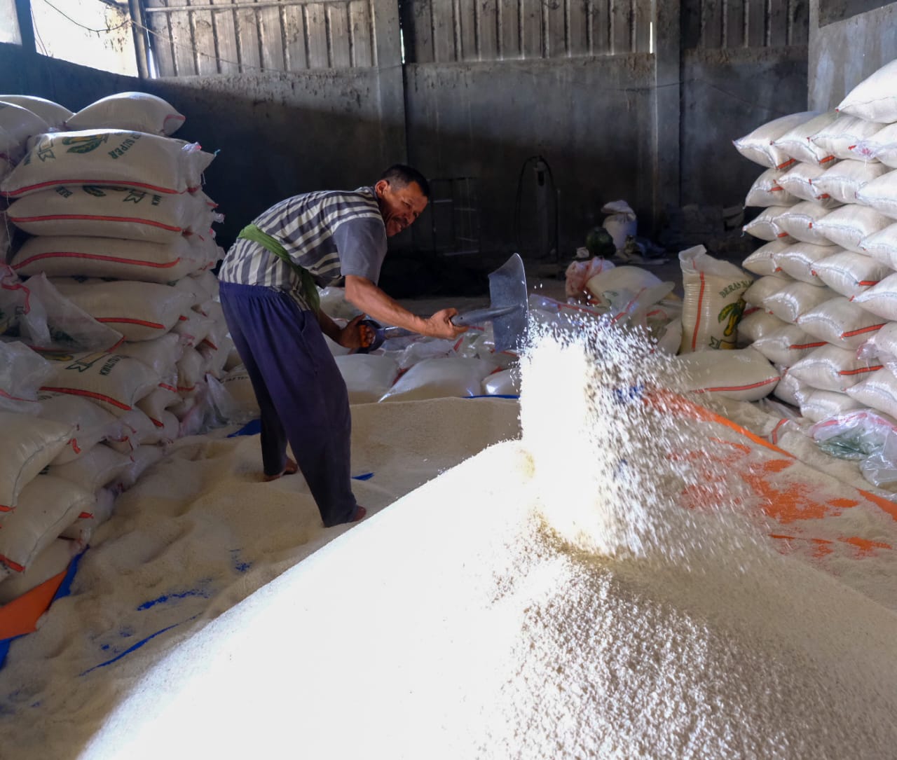 Beras di area penggilingan padi